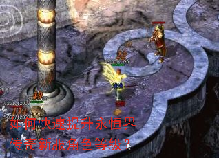 如何快速提升永恒界传奇新服角色等级? 如何快速提升永恒界传奇新服角色等级?