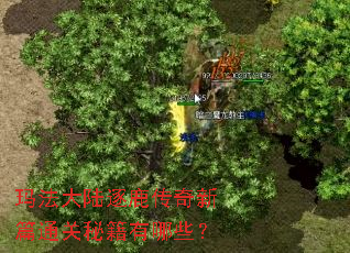 玛法大陆逐鹿传奇新篇通关秘籍有哪些? 玛法大陆逐鹿传奇新篇通关秘籍有哪些?