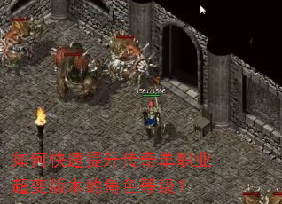 如何快速提升传奇单职业超变版本的角色等级? 如何快速提升传奇单职业超变版本的角色等级?