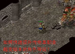 如何快速提升传奇单职业超变版本的角色等级? 如何快速提升传奇单职业超变版本的角色等级?