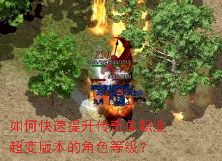 如何快速提升传奇单职业超变版本的角色等级? 如何快速提升传奇单职业超变版本的角色等级?