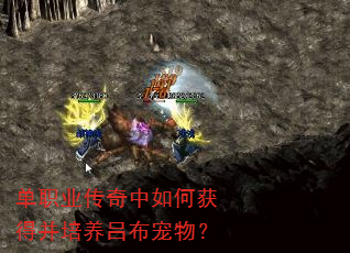 单职业传奇中如何获得并培养吕布宠物? 单职业传奇中如何获得并培养吕布宠物?
