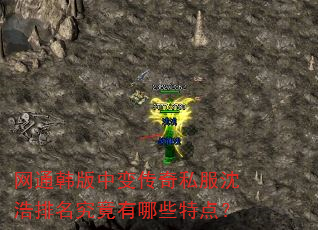 网通韩版中变传奇私服沈浩排名究竟有哪些特点? 网通韩版中变传奇私服沈浩排名究竟有哪些特点?