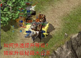 如何快速提升等级?独家升级秘籍大公开 如何快速提升等级?独家升级秘籍大公开