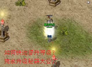 如何快速提升等级?独家升级秘籍大公开 如何快速提升等级?独家升级秘籍大公开