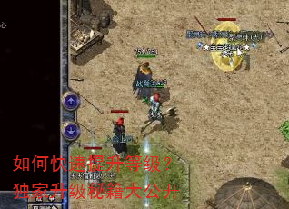 如何快速提升等级?独家升级秘籍大公开 如何快速提升等级?独家升级秘籍大公开