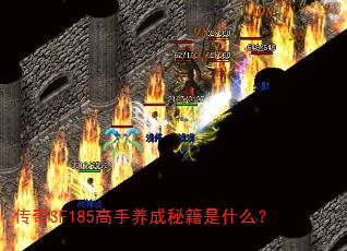 传奇SF185高手养成秘籍是什么? 传奇SF185高手养成秘籍是什么?