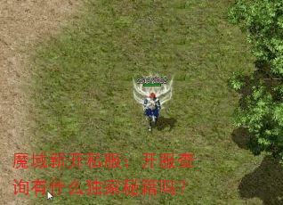 魔域新开私服:开服查询有什么独家秘籍吗? 魔域新开私服:开服查询有什么独家秘籍吗?