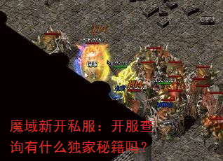魔域新开私服:开服查询有什么独家秘籍吗? 魔域新开私服:开服查询有什么独家秘籍吗?
