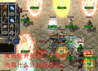 魔域新开私服:开服查询有什么独家秘籍吗? 魔域新开私服:开服查询有什么独家秘籍吗?