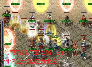 传奇新服打宝攻略:如何快速致富成为土豪? 传奇新服打宝攻略:如何快速致富成为土豪?