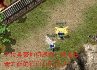 诸位英豪如何聚首?问鼎传奇之巅的征途有何秘诀? 诸位英豪如何聚首?问鼎传奇之巅的征途有何秘诀?