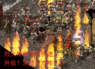 烈火传奇如何快速升级?求高效攻略 烈火传奇如何快速升级?求高效攻略