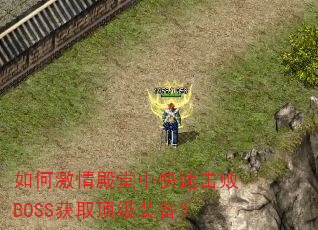 如何激情殿堂中快速击败BOSS获取顶级装备? 如何激情殿堂中快速击败BOSS获取顶级装备?