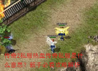 传奇2私服热血传奇私服是什么意思?新手必看攻略解析 传奇2私服热血传奇私服是什么意思?新手必看攻略解析