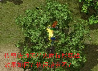传奇法师流星火雨技能实战效果如何?值得培养吗? 传奇法师流星火雨技能实战效果如何?值得培养吗?