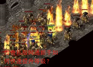 传奇私服网通新手如何快速提升等级? 传奇私服网通新手如何快速提升等级?