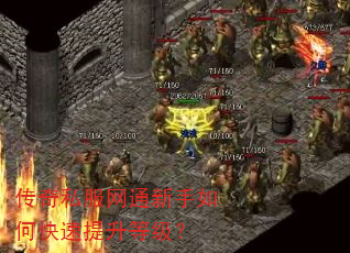 传奇私服网通新手如何快速提升等级? 传奇私服网通新手如何快速提升等级?