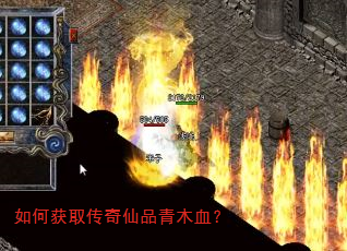 如何获取传奇仙品青木血? 如何获取传奇仙品青木血?