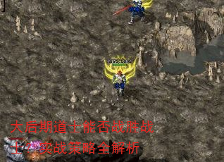 大后期道士能否战胜战士?实战策略全解析 大后期道士能否战胜战士?实战策略全解析