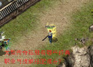 大型传奇私服有哪些经典职业与技能搭配推荐? 大型传奇私服有哪些经典职业与技能搭配推荐?