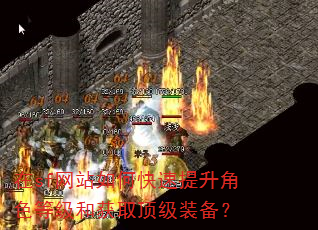 在sf网站如何快速提升角色等级和获取顶级装备? 在sf网站如何快速提升角色等级和获取顶级装备?