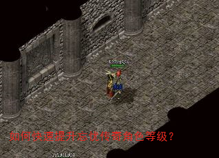 如何快速提升忘忧传奇角色等级? 如何快速提升忘忧传奇角色等级?