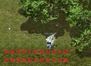 玩家如何巧妙应对持久战?传奇游戏耐力提升全攻略 玩家如何巧妙应对持久战?传奇游戏耐力提升全攻略