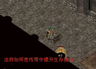 法师如何在传奇中提升生存能力? 法师如何在传奇中提升生存能力?
