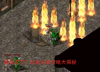 赢家是王?玩家必看攻略大揭秘 赢家是王?玩家必看攻略大揭秘
