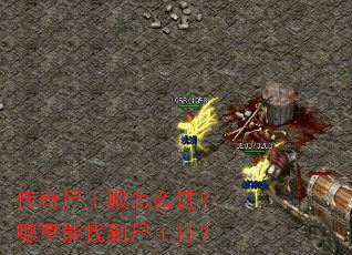 传奇尸王殿怎么进?哪里能找到尸王打? 传奇尸王殿怎么进?哪里能找到尸王打?
