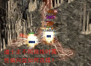 道士走不同路线时属性偏向应如何选择? 道士走不同路线时属性偏向应如何选择?