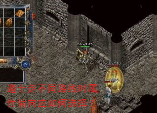 道士走不同路线时属性偏向应如何选择? 道士走不同路线时属性偏向应如何选择?