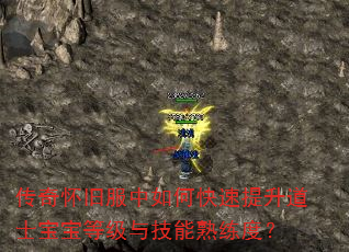 传奇怀旧服中如何快速提升道士宝宝等级与技能熟练度? 传奇怀旧服中如何快速提升道士宝宝等级与技能熟练度?