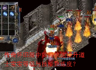 传奇怀旧服中如何快速提升道士宝宝等级与技能熟练度? 传奇怀旧服中如何快速提升道士宝宝等级与技能熟练度?