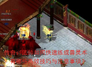 传奇sf法师如何快速练成兽灵术?有哪些高效技巧与注意事项? 传奇sf法师如何快速练成兽灵术?有哪些高效技巧与注意事项?