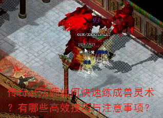 传奇sf法师如何快速练成兽灵术?有哪些高效技巧与注意事项? 传奇sf法师如何快速练成兽灵术?有哪些高效技巧与注意事项?