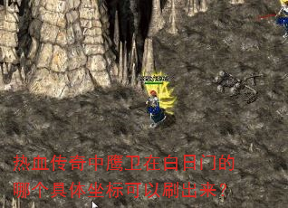 热血传奇中鹰卫在白日门的哪个具体坐标可以刷出来? 热血传奇中鹰卫在白日门的哪个具体坐标可以刷出来?