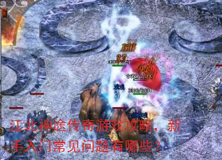江北神途传奇游戏攻略,新手入门常见问题有哪些? 江北神途传奇游戏攻略,新手入门常见问题有哪些?