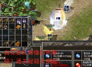 白花金针奇缘如何解锁?通关秘籍大揭秘 白花金针奇缘如何解锁?通关秘籍大揭秘