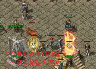 白花金针奇缘如何解锁?通关秘籍大揭秘 白花金针奇缘如何解锁?通关秘籍大揭秘