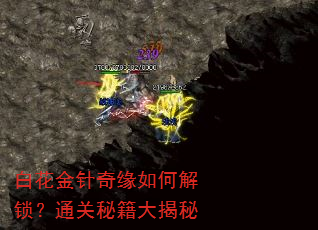 白花金针奇缘如何解锁?通关秘籍大揭秘 白花金针奇缘如何解锁?通关秘籍大揭秘