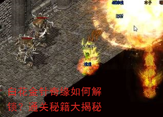 白花金针奇缘如何解锁?通关秘籍大揭秘 白花金针奇缘如何解锁?通关秘籍大揭秘