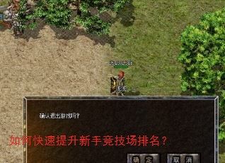 如何快速提升新手竞技场排名? 如何快速提升新手竞技场排名?