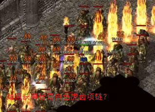 如何获得传奇白色虎齿项链? 如何获得传奇白色虎齿项链?