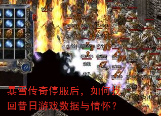 暴雪传奇停服后,如何找回昔日游戏数据与情怀? 暴雪传奇停服后,如何找回昔日游戏数据与情怀?