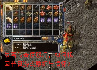 暴雪传奇停服后,如何找回昔日游戏数据与情怀? 暴雪传奇停服后,如何找回昔日游戏数据与情怀?