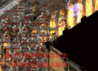 道士无狗如何高效攻击?传奇游戏攻略全解析 道士无狗如何高效攻击?传奇游戏攻略全解析