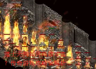 道士无狗如何高效攻击?传奇游戏攻略全解析 道士无狗如何高效攻击?传奇游戏攻略全解析