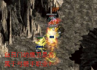 白日门的鹰卫是否属于弓箭手职业? 白日门的鹰卫是否属于弓箭手职业?